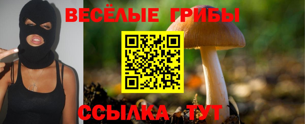Псилоцибиновые грибы Cubensis  Вход с VPN  Рославль  как найти закладки  Псилоцибиновые грибы ЛСД 