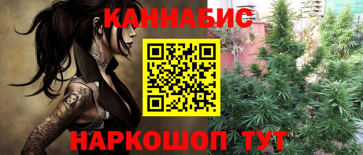 Канабис ГИДРОПОН  Бошки марихуана White Widow  Вход с VPN  Шишки марихуана семена  МАРИХУАНА планчик  Рославль 